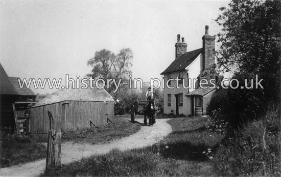 Markhams, Pleshey, Essex. c.1908